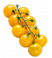 Grow Delight Cherry Tomato Yellow GD 66 - 30 Grams